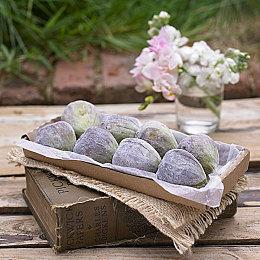 新一批国产网络游戏版号下发 《太吾绘卷》等过审